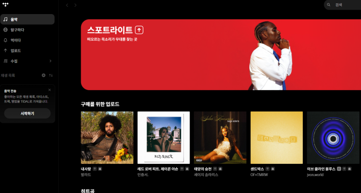  타이달 플러스 국내음악 전부 서비스 가능한지 알아보자