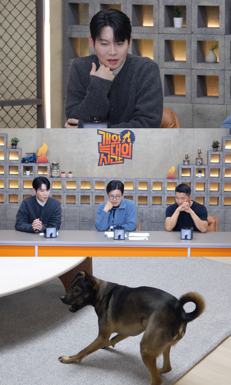 손태진 목소리에 개들 반응, 강형욱 한마디