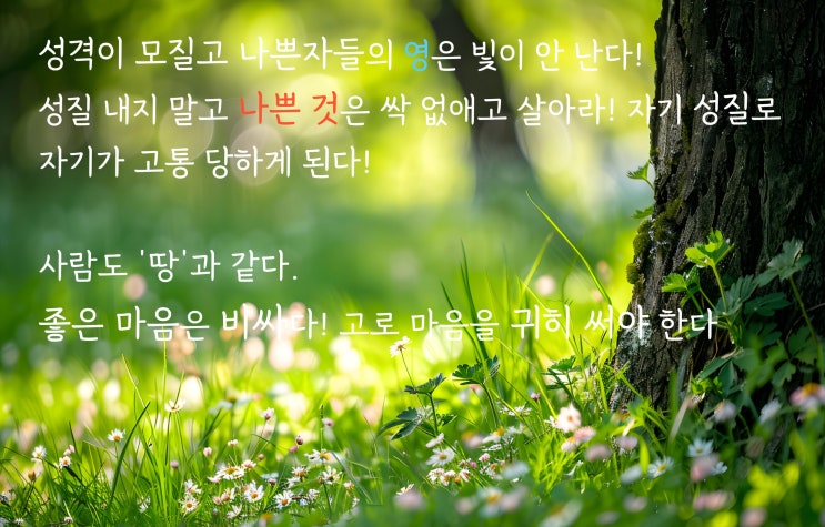  생각에 대해> '나쁘게' 생각하지를 말아라Ⅰ좋은 마음은 '비싸다'Ⅰ자기 성질로 자기가 고통 당한다!