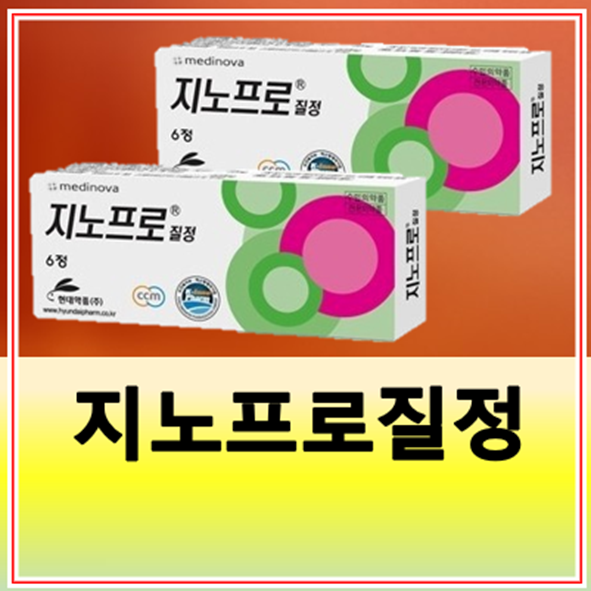 지노프로질정 효과 사용법 어떤 질염에 효과가 있나