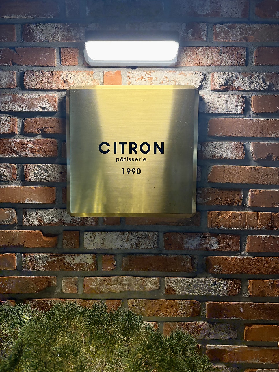 씨트론과자점 본점 사진 2