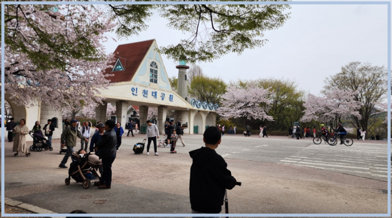 사진 4