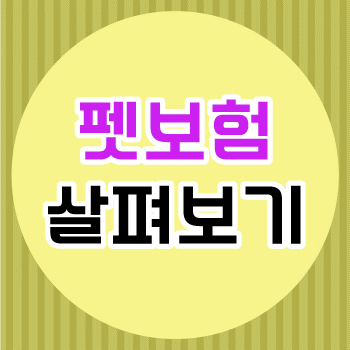 사진 5
