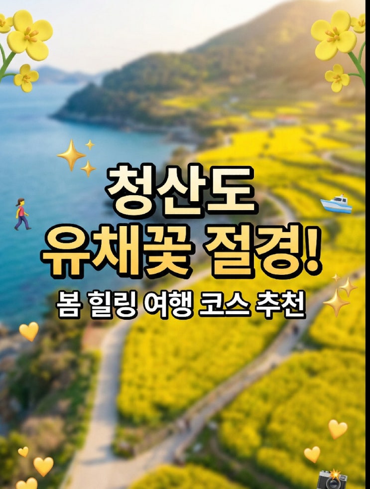 2026 청산도 슬로걷기 축제 유채꽃 절정 4월 사전예약·배편·코스·숙박 가볼만한곳 총정리