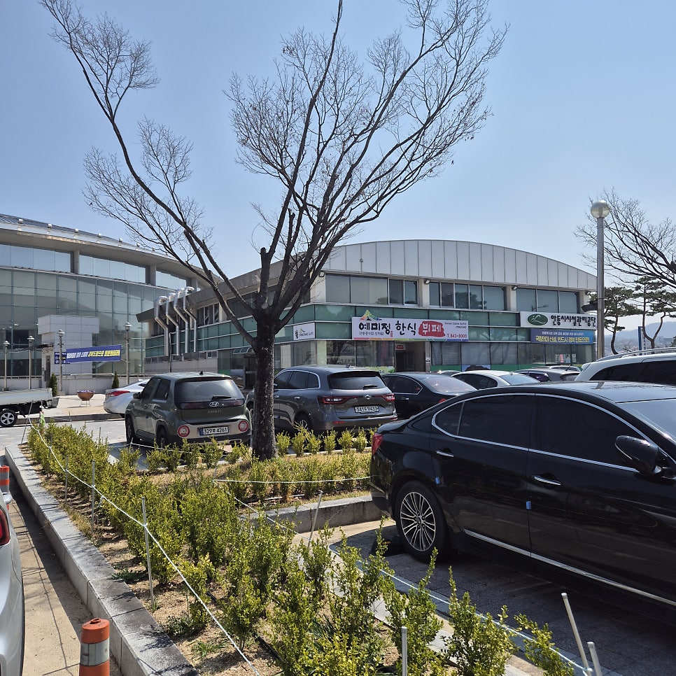 예미정한식뷔페 사진 2