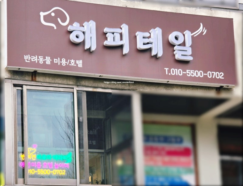 사진 3