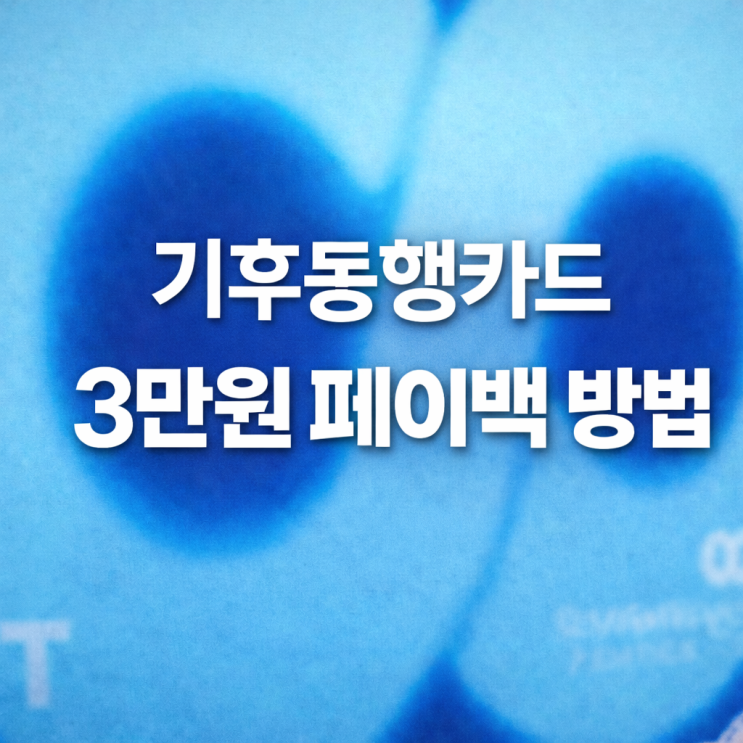  기후동행카드 3만원 페이백 신청방법  조건 기간 총정리