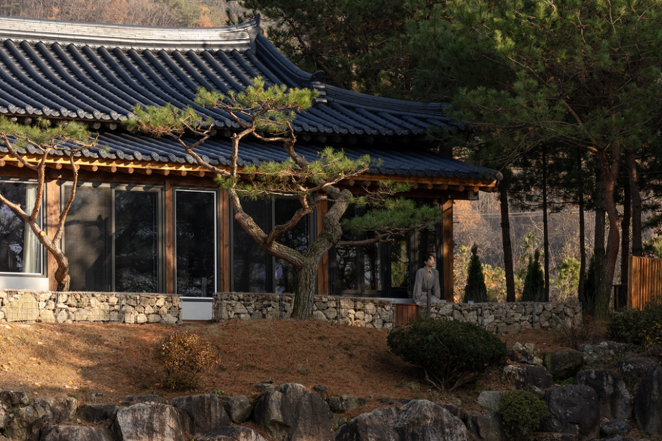 스테이동몽 사진 2
