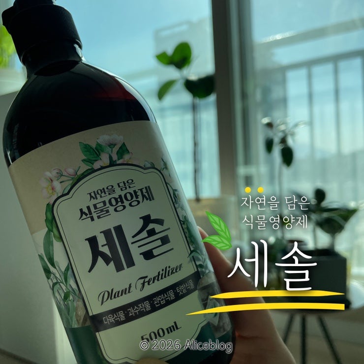 식물영양제 추천, 탄소저감까지 생각한 친환경 다육이영양제 사용 후기