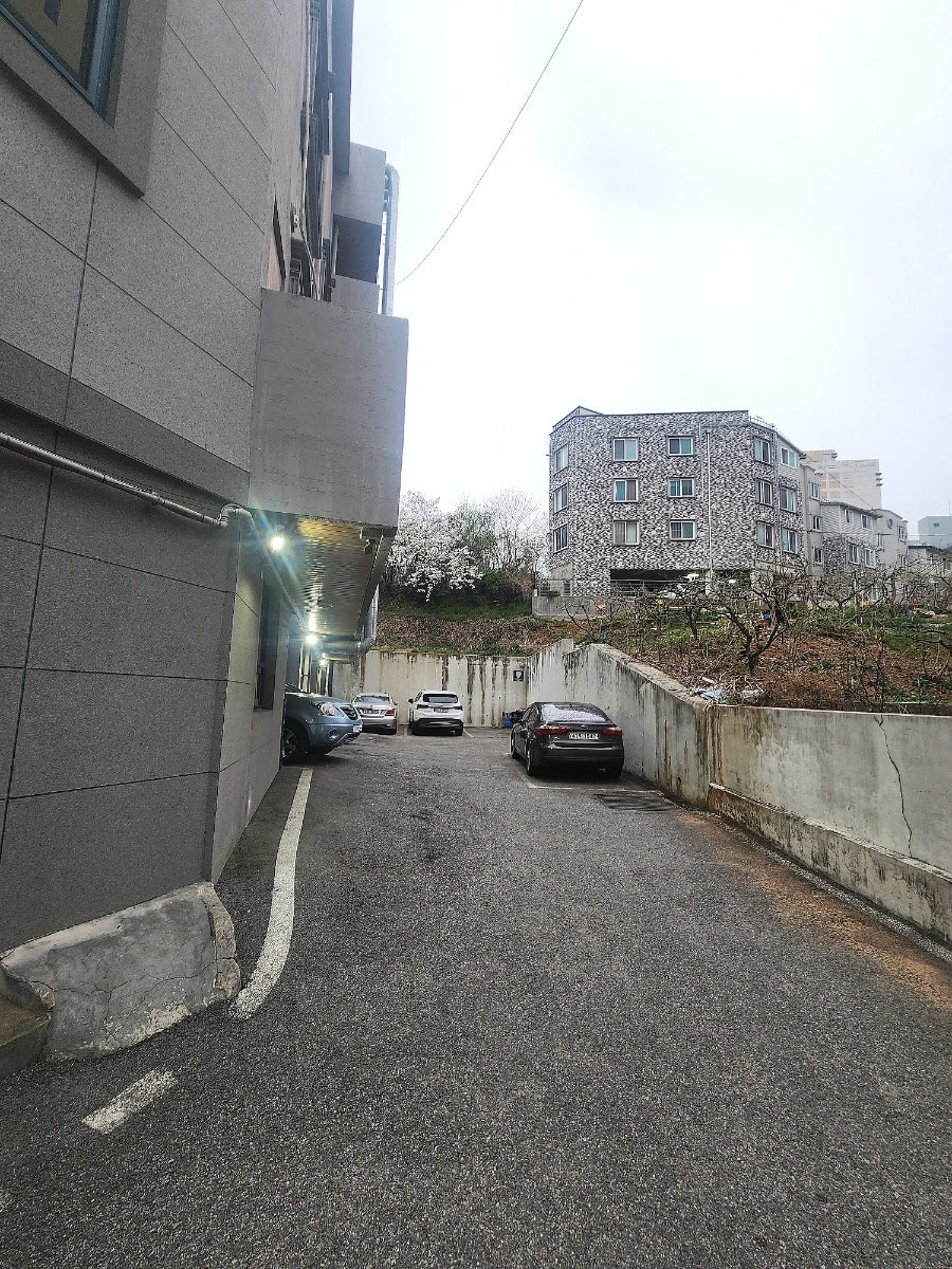 청월참치 사진 2