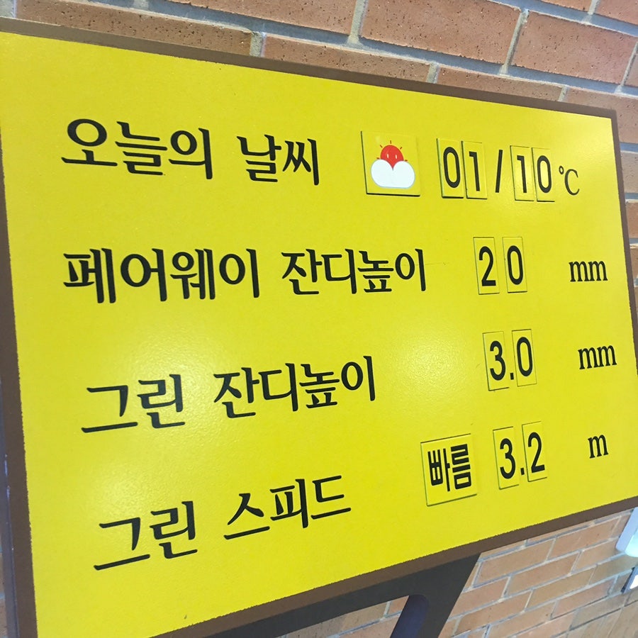 불타는오리 사진 2