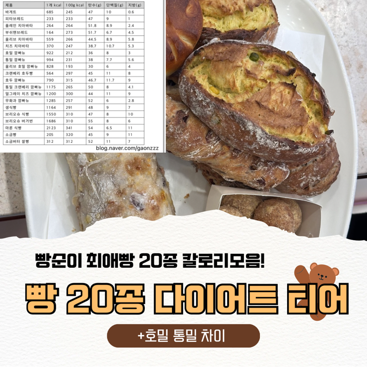 빵 칼로리 정리 (빵 다이어트 티어, 빵크기 칼로리, 식사빵 간식빵 맛집정리)