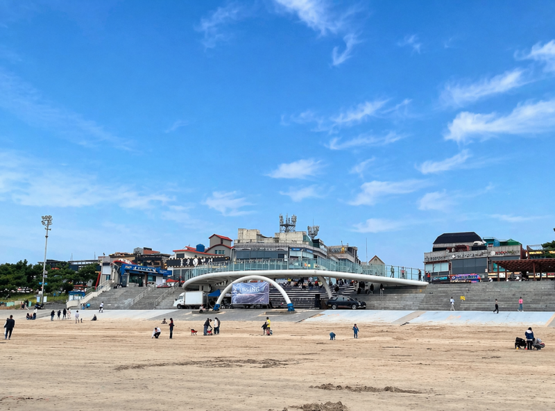 [보령/대천] 충남 보령 국내 여행지 가볼 만 한 곳 '대천해수욕장'