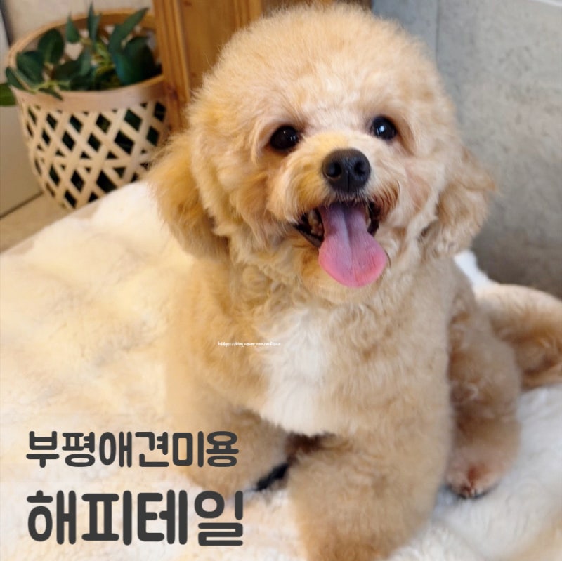사진 2