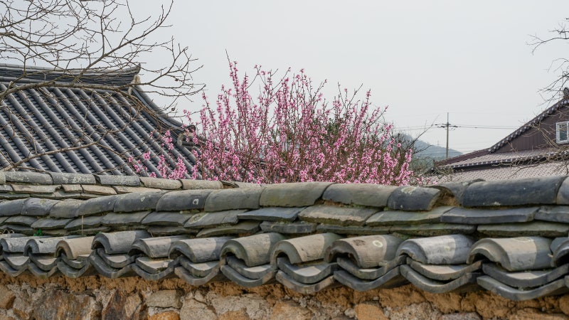 사진 2