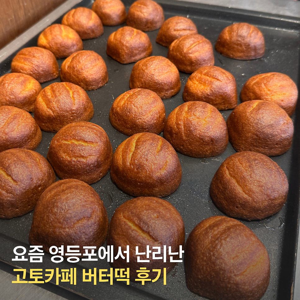 고토 사진 1