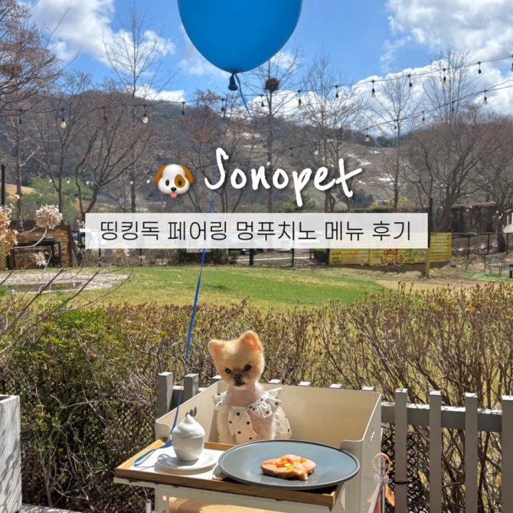  홍천 소노펫 띵킹독 메뉴 페어링세트 멍푸치노 후기
