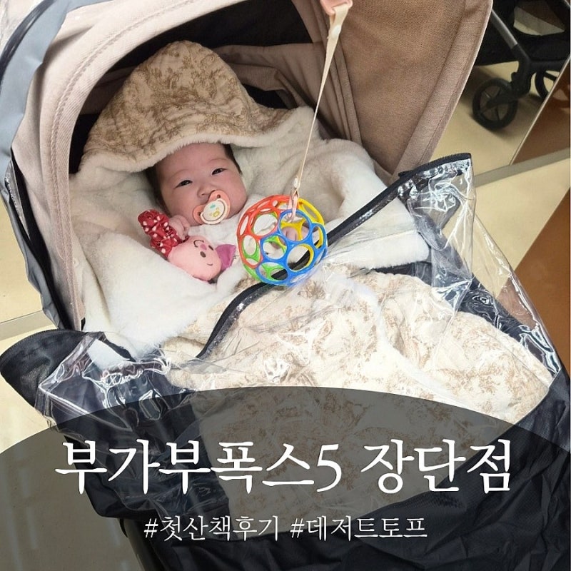 부가부 폭스5 유모차 산책 첫개시 느낀점