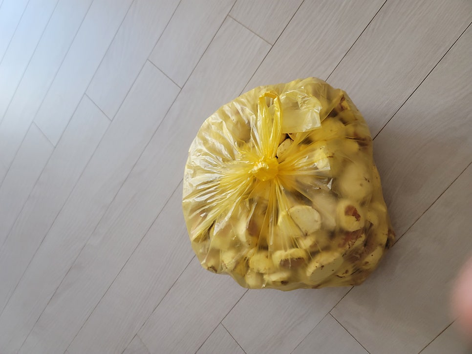 왕짱구 사진 2