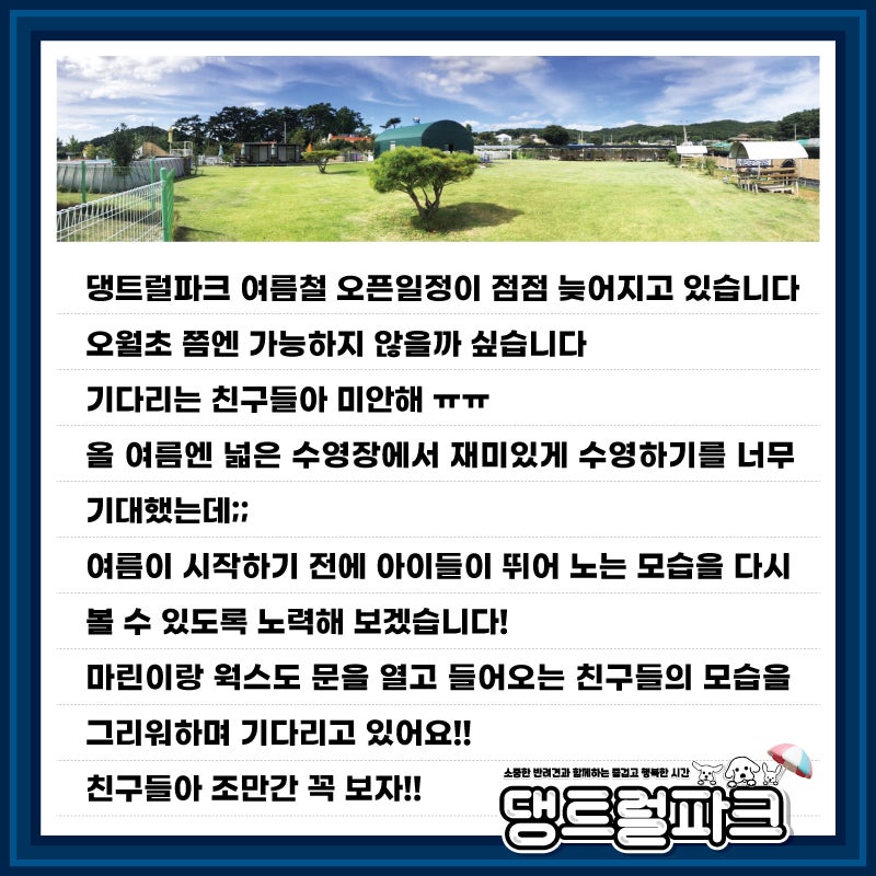사진 8
