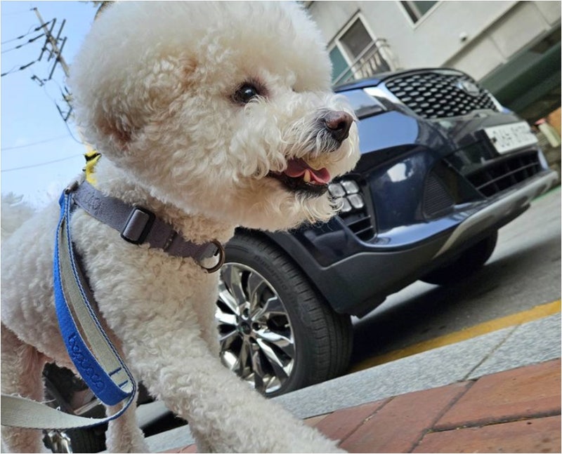 사진 5