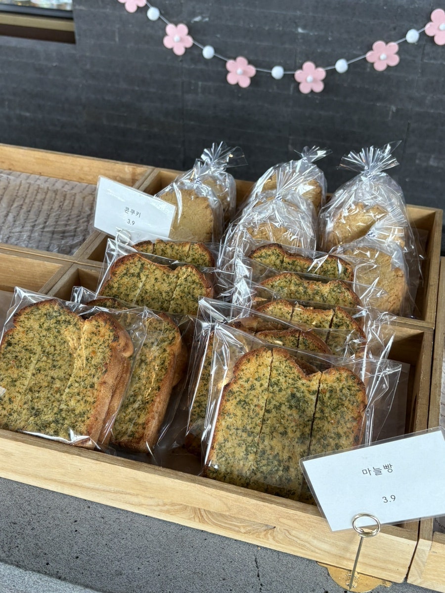 카페나무 사진 4