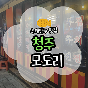 모도리포차 수제안주 맛집 청주 모도리 동네포차 하복대점 후기(위치/주차/메뉴)