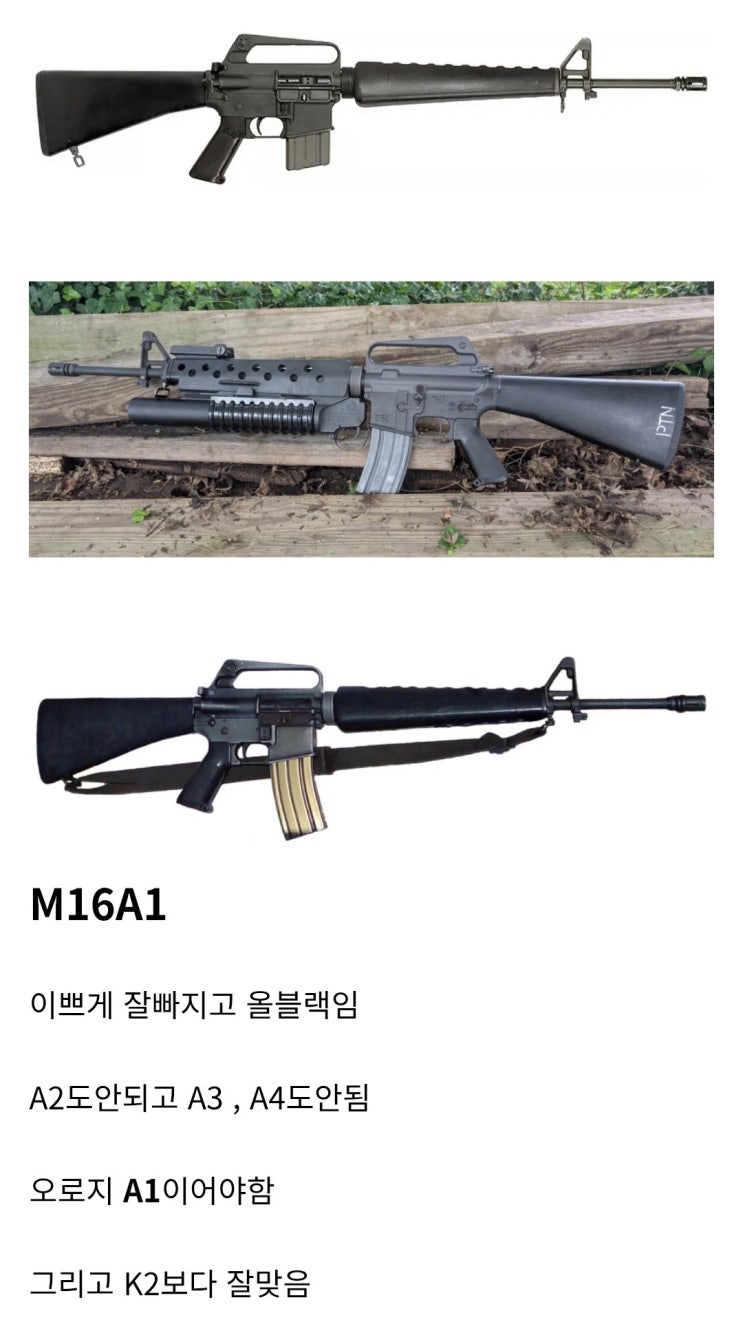  세상에서 가장 아름다운 소총
