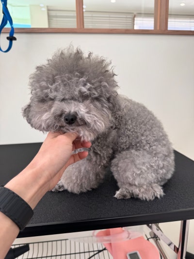 사진 6