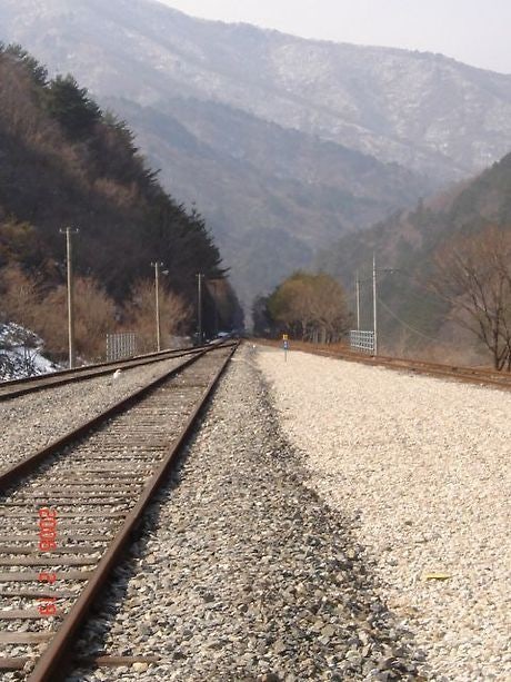 여치의꿈 사진 4