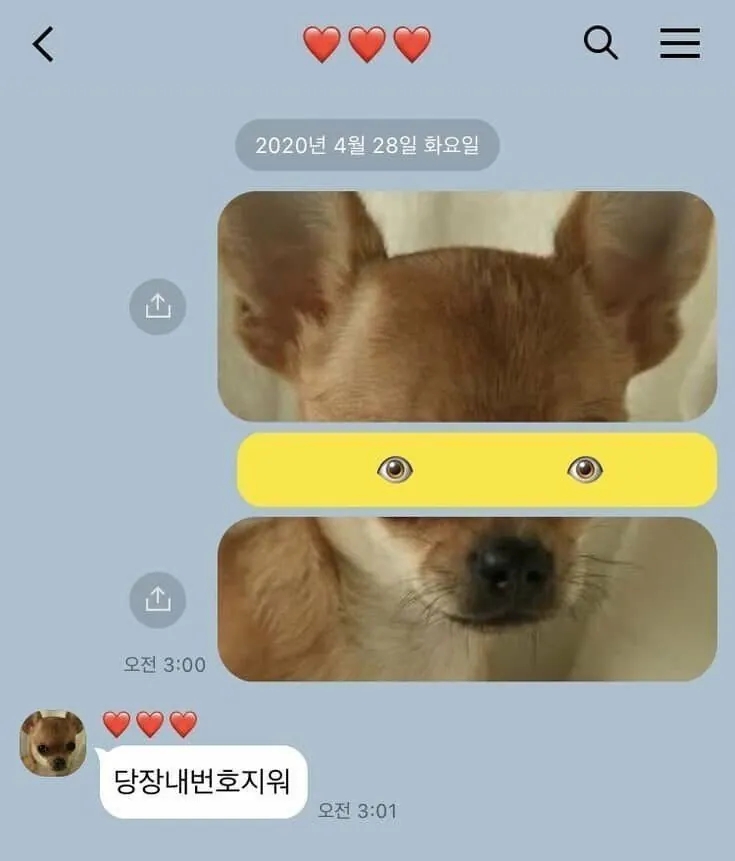  여친에게 보낸 마지막 카톡