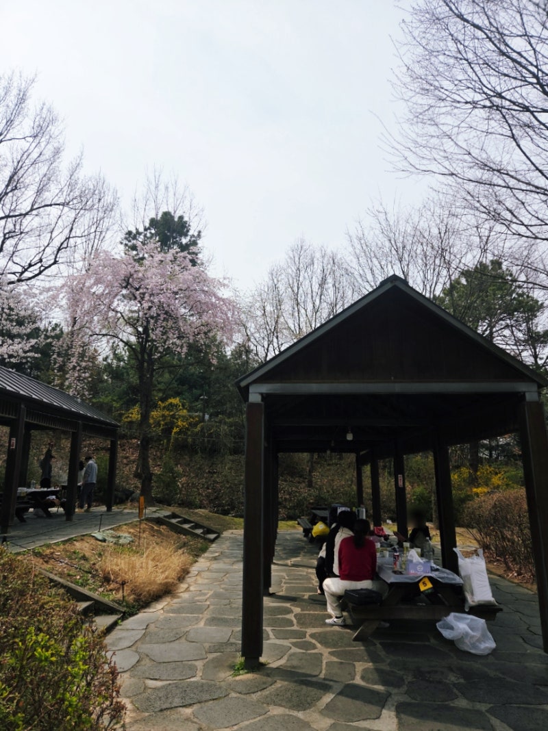 중랑캠핑숲 가족캠핑장 예약 이용요금 바베큐 벚꽃 명당 총정리