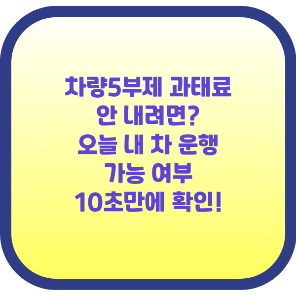 차량5부제 과태료 안 내려면? 오늘 내 차 운행 가능 여부 10초 만에 확인!