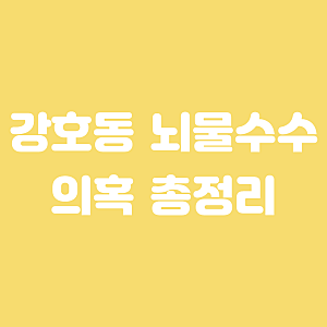강호동 뇌물수수 의혹 정리｜농협중앙회장 1억 금품수수 의혹 강호동 경찰출석 ?