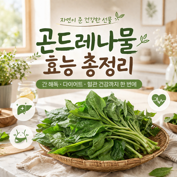곤드레 나물, 그냥 밥에 비벼 먹기만 하셨나요? 간 건강·다이어트까지 숨은 효능 총정리