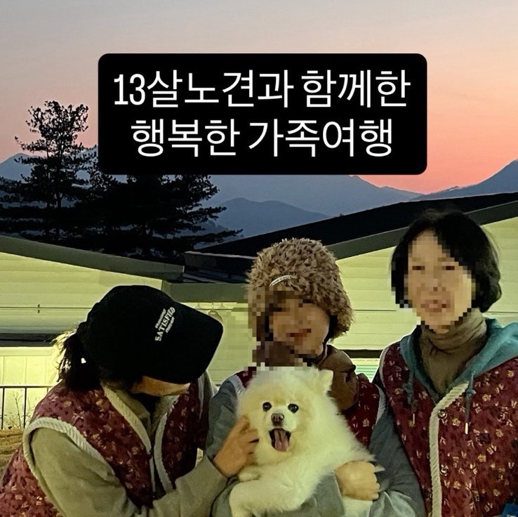 사진 7