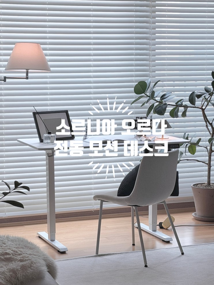  가성비 끝판왕! 소르니아 오르다 전동 모션데스크 솔직리뷰
