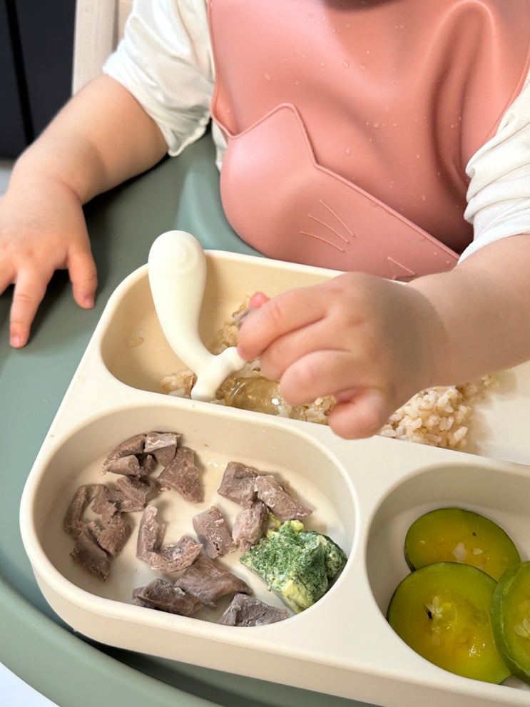  후기 이유식 오리고기 언제부터 오리가슴살 베이비무브