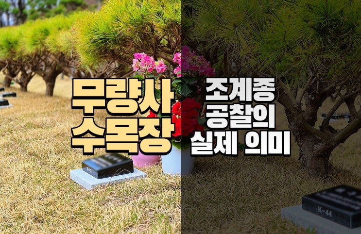  남양주 무량사 수목장, 제대로 알고 진행하려면
