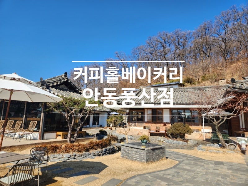 사진 5
