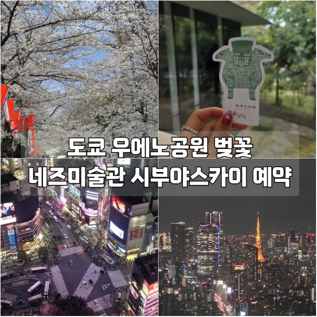  도쿄 우에노공원 네즈미술관 네즈카페 시부야스카이 예약방법