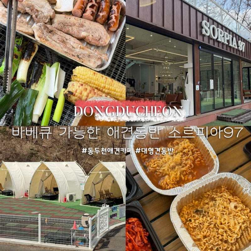 사진 7