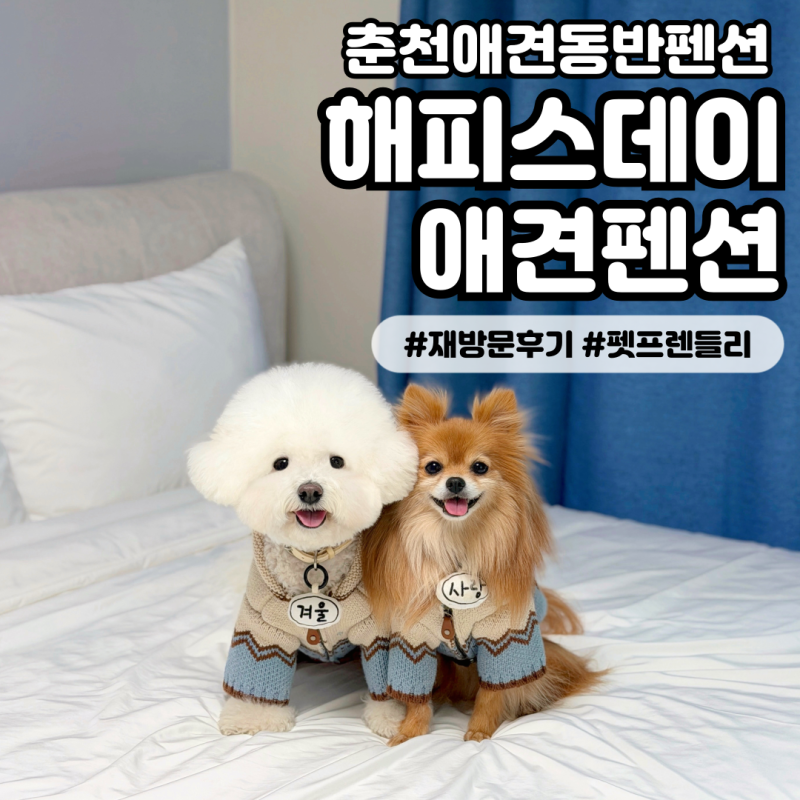해피스데이애견펜션