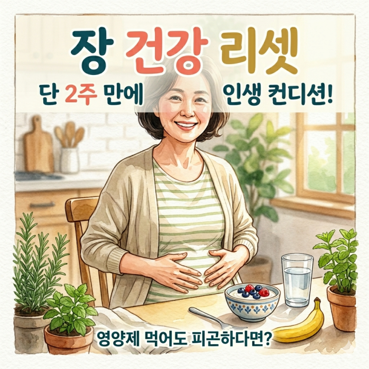  몸이 계속 안 좋은 이유: 장이 보내는 위험 신호를 놓치고 있다