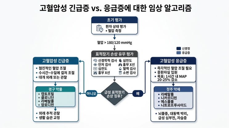  고혈압의 응급증상 Hypertensive Urgency and Emergency: Clinical Presentation and Red Flags