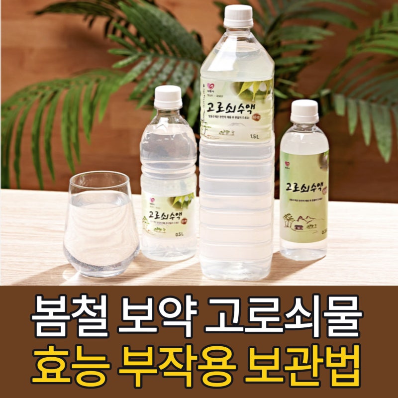 봄철 보약 고로쇠물 효능 7가지, 당뇨 환자는 마셔도 될까?