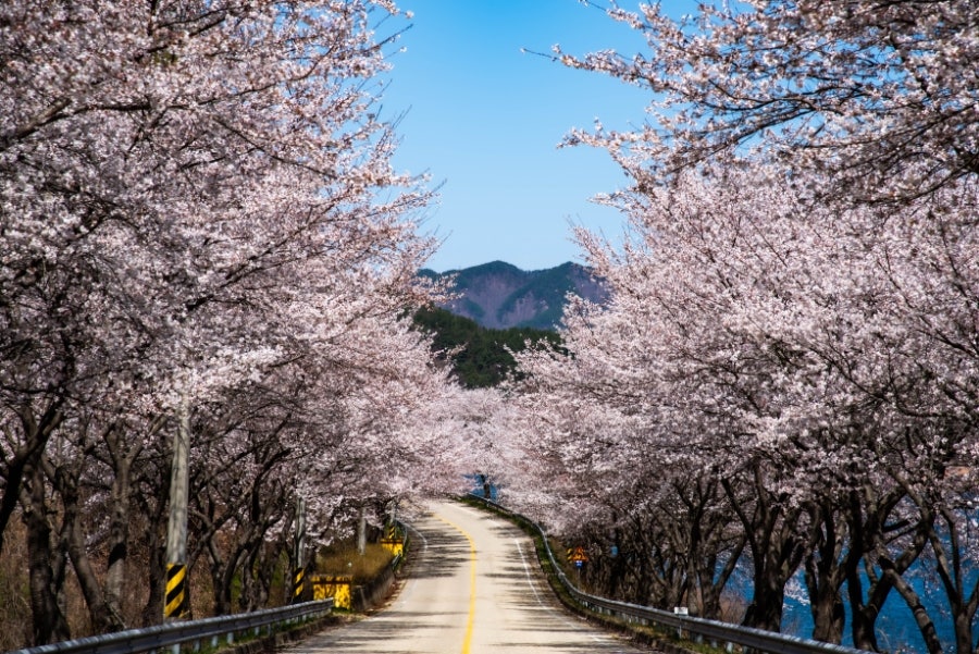 솔재골 사진 4