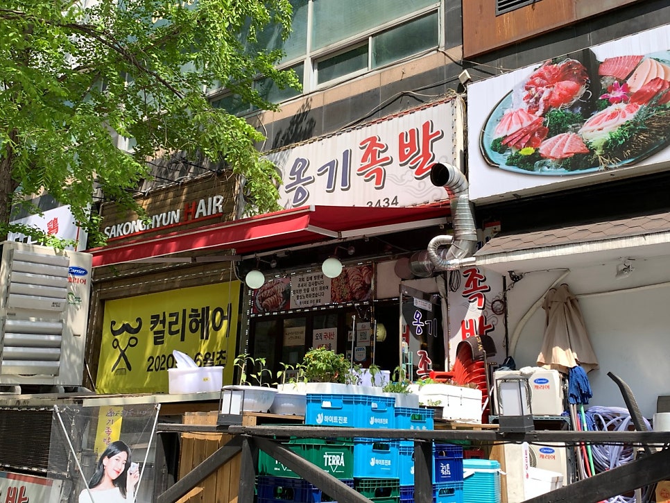 야탑옹기족발 사진 1