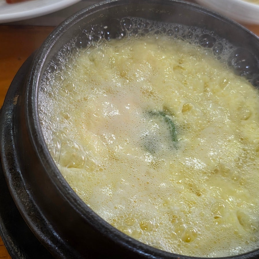 참낙지 사진 5