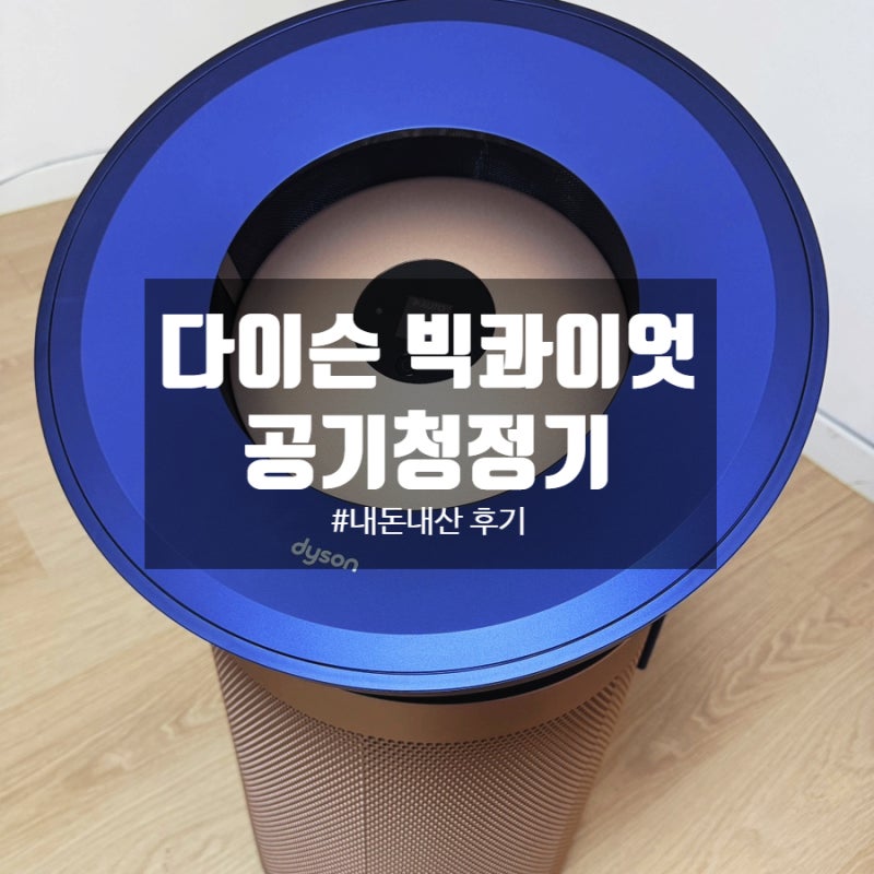 조용한 공기청정기 다이슨 빅콰이엇 실사용 후기